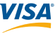 visa_PNG36 1